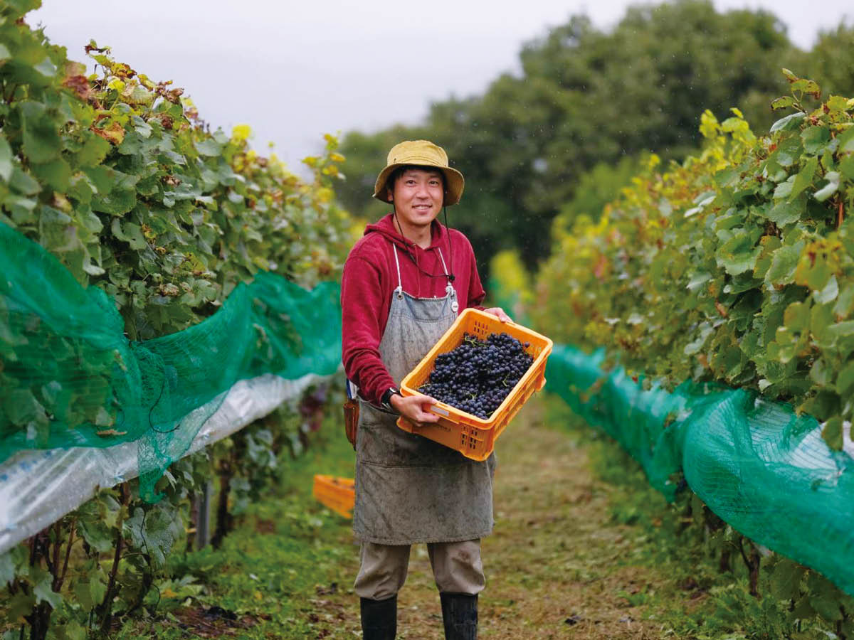 画像プレースホルダー
